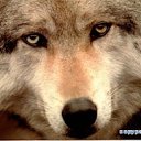 ���� �������, �����, 50 ��� - ��������� 30 ������� 2011 � ������ �������