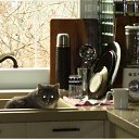 ���� ***������ -���� ***, ����������, 40 ��� - ��������� 16 ������ 2012 � ������ ���� ������� ����� �����.�