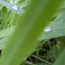 ���� �@������, �����������, 28 ��� - ��������� 13 ������� 2009 � ������ ������������ � ��))))�