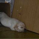 ���� ��������, ����������, 27 ��� - ��������� 19 ������ 2010 � ������ ���� ����������