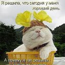 ���� Tigra, ���������, 50 ��� - ��������� 29 ������ 2013 � ������ ���� ����������
