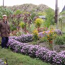 ���� ��������, ���������, 63 ���� - ��������� 22 ���� 2012 � ������ ���� ����������