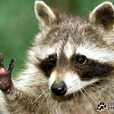 � ����� �������� ���� vk.com/fotiko