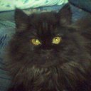 ���� Joy, ����� - ��������� 28 ���� 2010