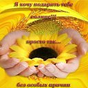 ���� ������, ����������, 29 ��� - ��������� 16 ���� 2010 � ������ �������