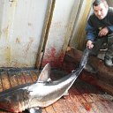 ���� �������, ������, 45 ��� - ��������� 1 ������� 2011 � ������ ���� ����������