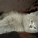 ���� ����_����� ������ ���� ���-��..., �������� - ��������� 10 ������� 2013 � ������ ����� ������ ������..�