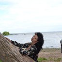 ���� �����, �����-���������, 50 ��� - ��������� 27 ������ 2012 � ������ ���� ����������