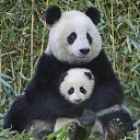 ���� ����. ��������� �� ��!, ������, 72 ���� - ��������� 9 ���� 2011 � ������ ��������߻