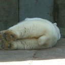 ���� �������, �������� - ��������� 8 ������� 2010 � ������ ���� �������