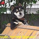 ���� Kasperrrr, ����������, 58 ��� - ��������� 21 ������� 2012 � ������ �������