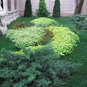 ���� ����, ������, 59 ��� - ��������� 3 ���� 2013 � ������ ���� ����������