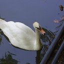 ������ � ��������� ��������� �� ������� ���� ����������