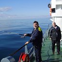 ���� �������, ������������, 62 ���� - ��������� 27 ���� 2013