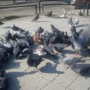 ���� ��������, ����������� - ��������� 8 ������ 2010