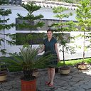 ���� ��������, �����������, 56 ��� - ��������� 18 ����� 2012