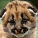 ���� ������, ���� - ��������� 24 �������� 2011 � ������ �������