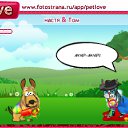 ���� ���������, ��������, 39 ��� - ��������� 2 ���� 2011 � ������ �PetLove�