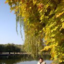 ���� �����, ���������, 43 ���� - ��������� 29 ������� 2010 � ������ ���� ����������