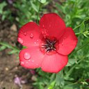 ���� ������, ��������, 63 ���� - ��������� 16 ������� 2009 � ������ ���� ����� ������