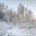 ���� �������, ���, 61 ��� - ��������� 19 ������ 2010 � ������ �������