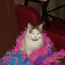 ������ �� ������� ���� ����Ȼ