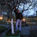 ���� ������, ������, 38 ��� - ��������� 28 ���� 2012 � ������ ���� ����������