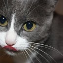 ���� ���������, ������, 61 ��� - ��������� 24 ������ 2012 � ������ ���� ����������