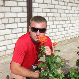 ���� �����, ����� - ��������� 31 ������� 2012