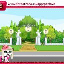 ���� &deg;&bull;*������&deg;&bull;*, ����������, 23 ���� - ��������� 11 �������� 2010 � ������ �PetLove�
