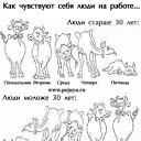 ���� �����, ������ - ��������� 30 ����� 2012 � ������ ���� ����������