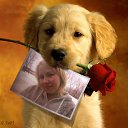 ���� ����, ��������, 40 ��� - ��������� 23 ������ 2013 � ������ ���� ����������