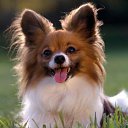 ���� �������, ������, 71 ��� - ��������� 31 ������ 2010 � ������ ���� ������