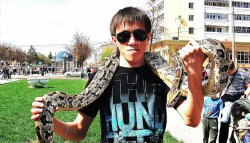 ���������, 35 ���, ������-���