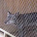 ���� ����, ������, 24 ���� - ��������� 10 ������� 2011 � ������ ������ � ��������� �������.�