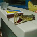 ���� -=)Sll@sh(=-, ������, 40 ��� - ��������� 11 ���� 2011 � ������ �������� �������