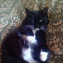  ,  -  24  2013    ɻ