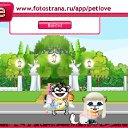  , , 37  -  19  2010   PetLove