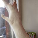 ���� ������) �� ������� ������ =)�