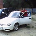 ���� �����, ����-�����������, 33 ���� - ��������� 2 ����� 2012 � ������ ���� ����������