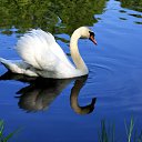 ���� ������, ����������, 49 ��� - ��������� 13 ��� 2012 � ������ ���� ����������