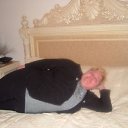 ���� ��������, �������, 66 ��� - ��������� 23 ������ 2011 � ������ ���� �����