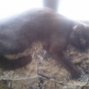 ���� Natalya, ��������, 56 ��� - ��������� 11 ������� 2011 � ������ ����� ����, ���� � &amp;�