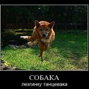 ���� ������, ������, 35 ��� - ��������� 23 ��� 2013 � ������ ���� ����������