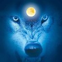 ���� �����, �����-�������� - ��������� 4 �������� 2012 � ������ �� ���� � ���� ������� ���.�