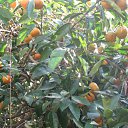 ���� �������, ������, 61 ��� - ��������� 22 ��� 2012 � ������ ������