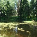 ���� Nik, ������, 54 ���� - ��������� 10 ����� 2012 � ������ ���� ����������