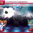 ���� Ms.���������, ������ - ��������� 5 ������ 2010 � ������ �PetLove�