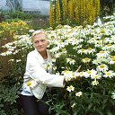  , -, 50  -  22  2012    