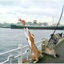  , -, 54  -  12  2010   